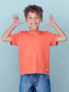 Menino 2-14 anos-T-shirts, polos-T-shirts-T-shirt personalizável, de mangas curtas, para menino