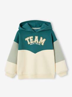 Menina 2-14 anos-Sweat de desporto efeito colorblock, com capuz, para menina