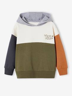 Menino 2-14 anos-Sweat colorblock com capuz, Basics, para menino