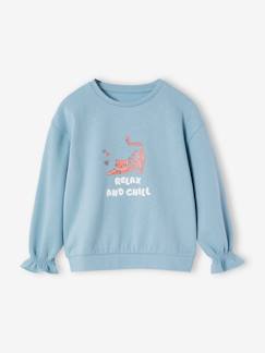 Menina 2-14 anos-Camisolas, casacos de malha, sweats-Sweatshirts -Camisola com animal e detalhes fantasia, para menina