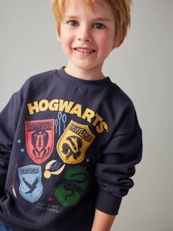 Menino 2-14 anos-Camisolas, casacos de malha, sweats-Sweat Harry Potter® com emblemas, para criança