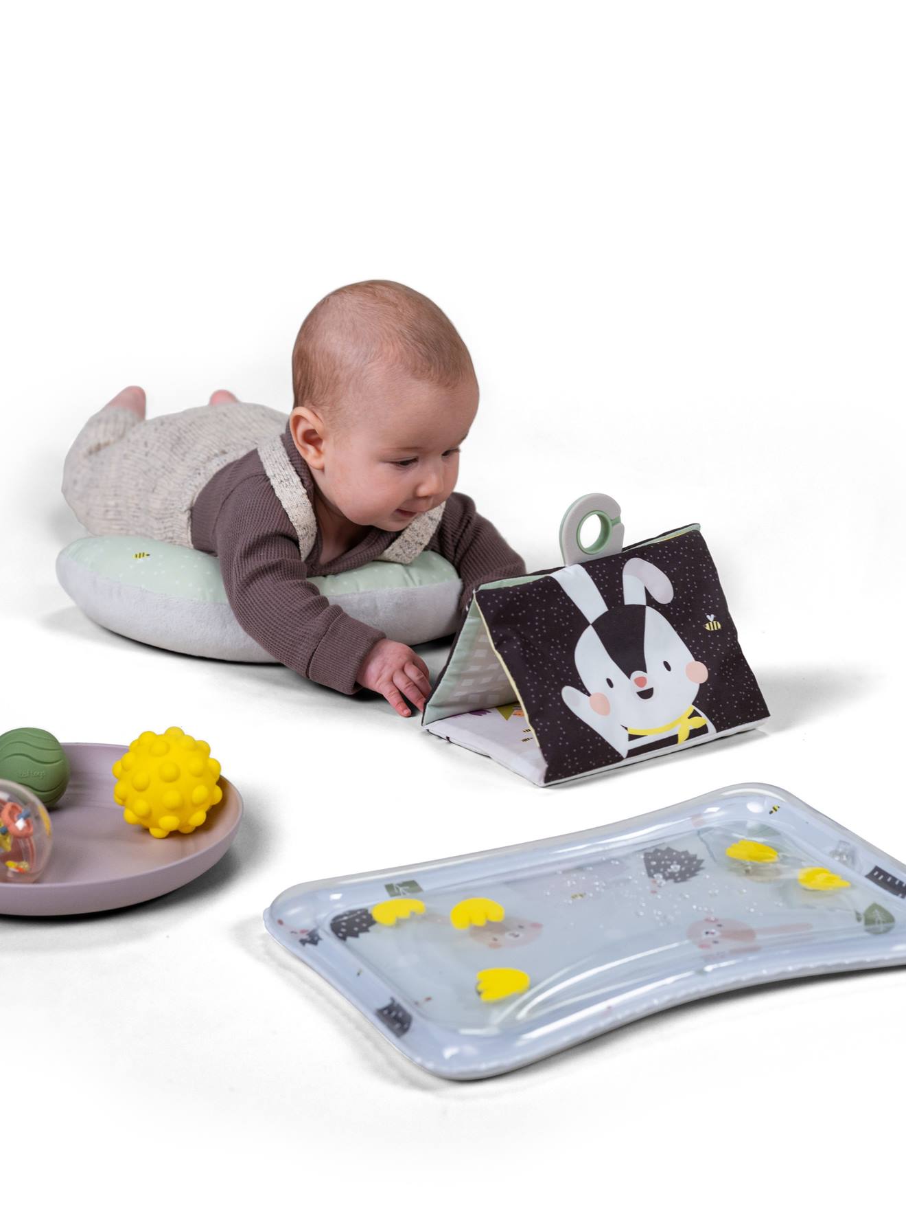 Brinquedos para brincar de barriga para baixo - TAFT TOYS multicolor