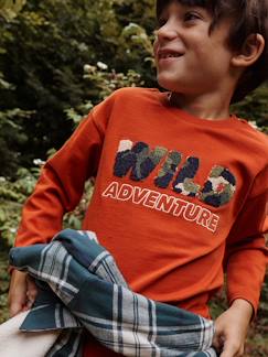 Menino 2-14 anos-T-shirts, polos-T-shirts-Camisola com motivo wild em malha borboto, para menino