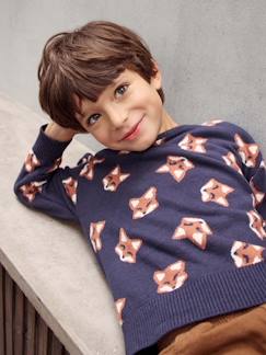 Menino 2-14 anos-Camisolas, casacos de malha, sweats-Camisola lúdica em jacquard, raposas, para menino