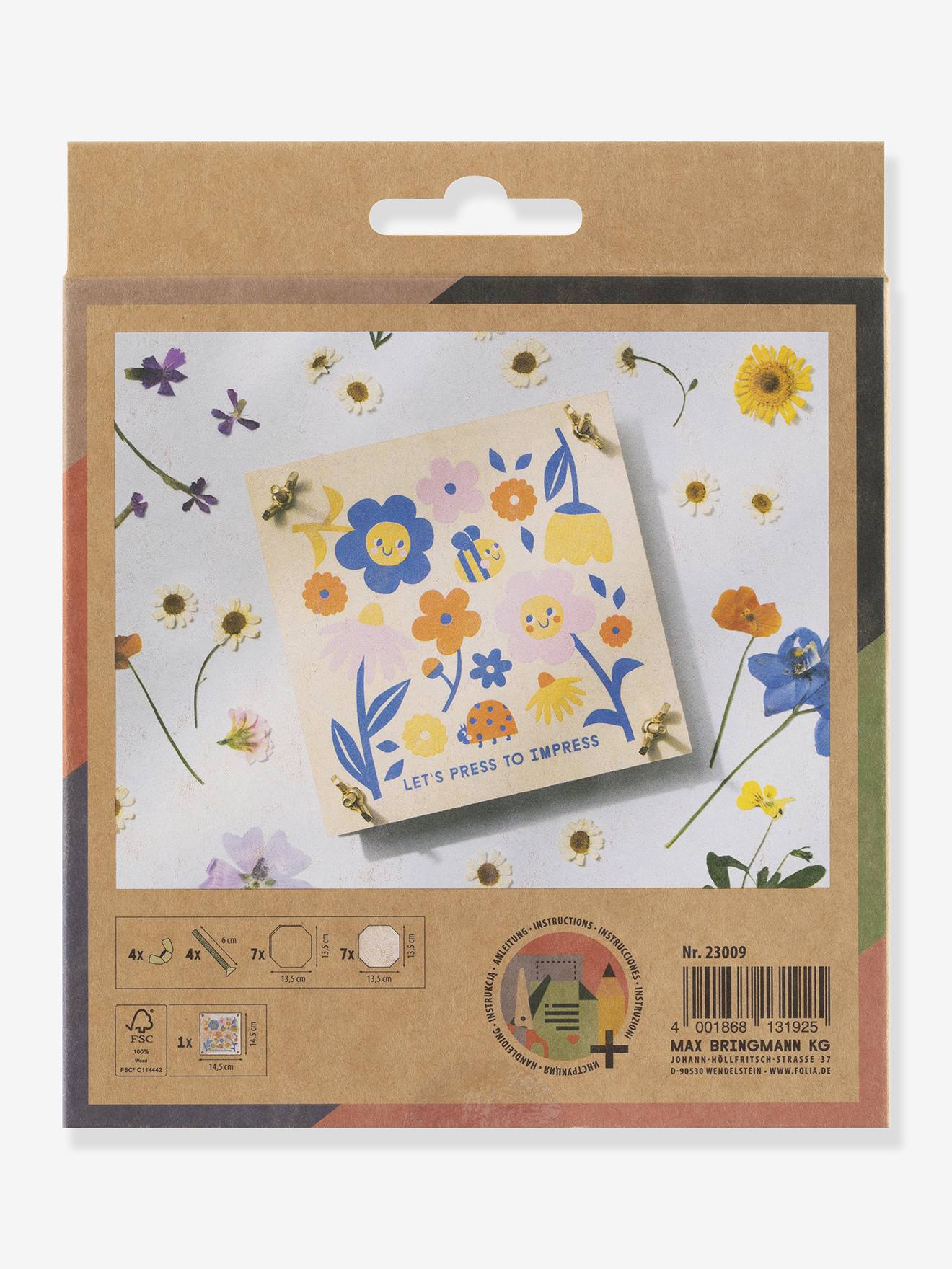 Conjunto básico prensa de flores folia madeira