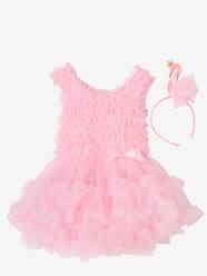 Disfarce de bailarina com cisne  