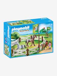 6931 Picadeiro da Playmobil  