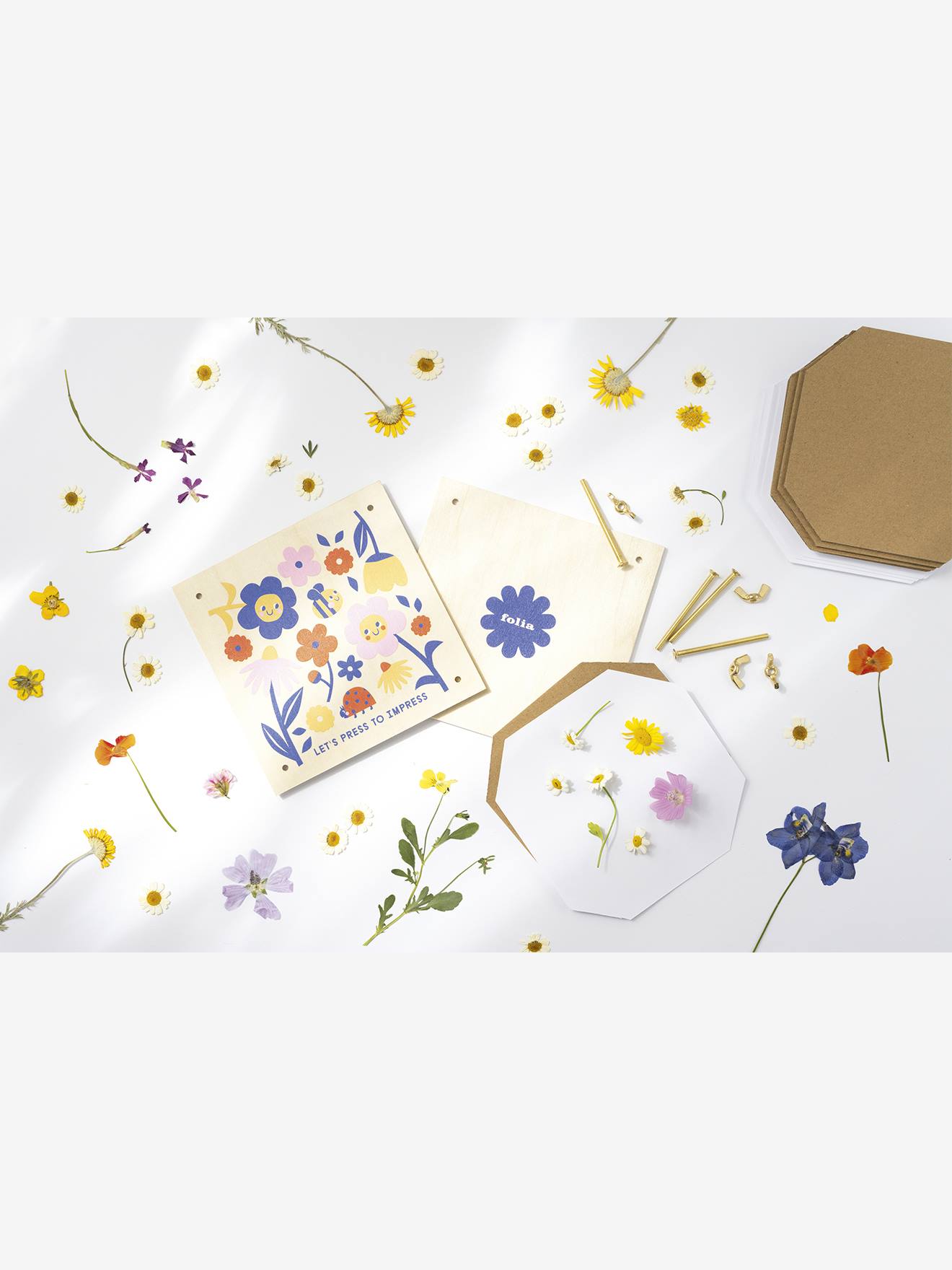 Conjunto básico prensa de flores folia madeira