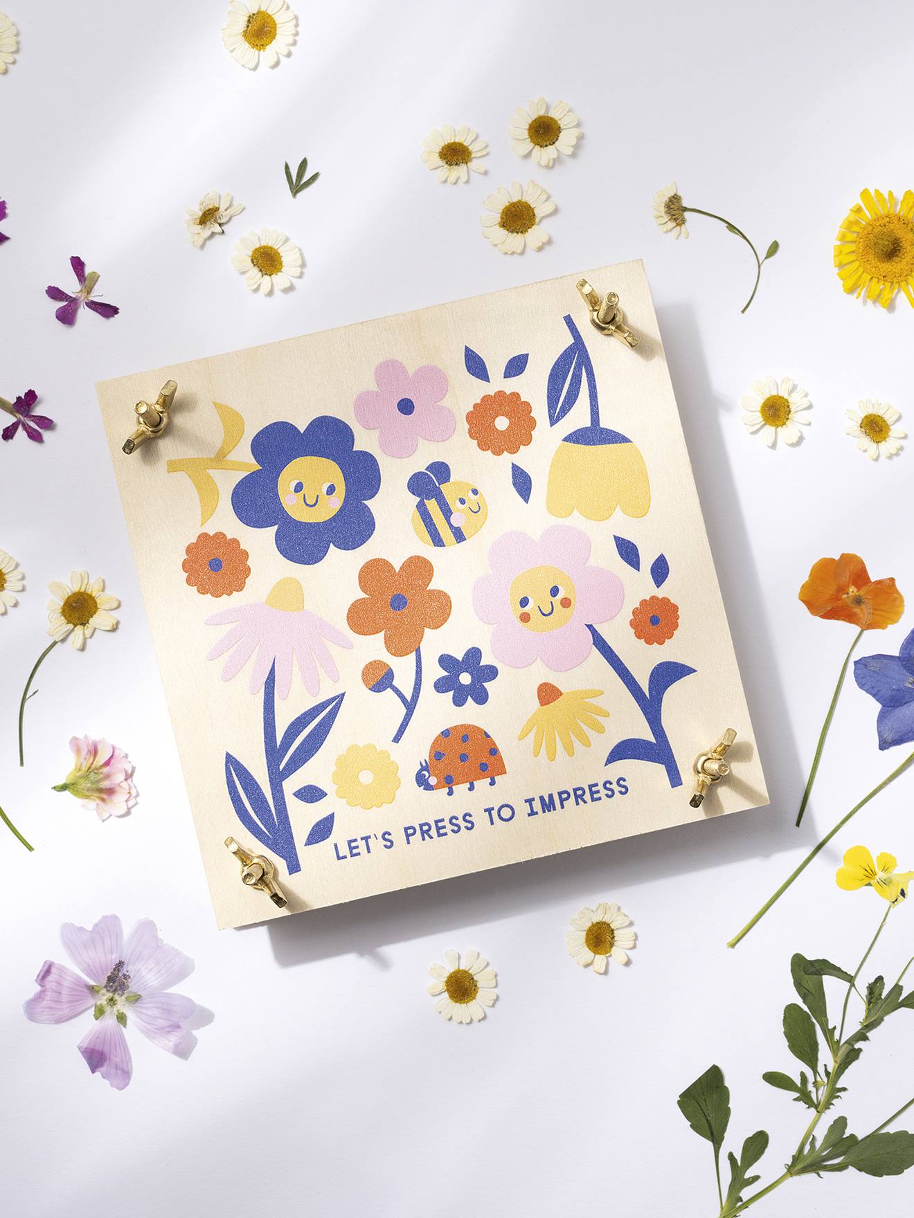 Conjunto básico prensa de flores folia madeira