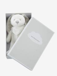 Peluche Coelhinho personalizável e a sua caixa para oferta  