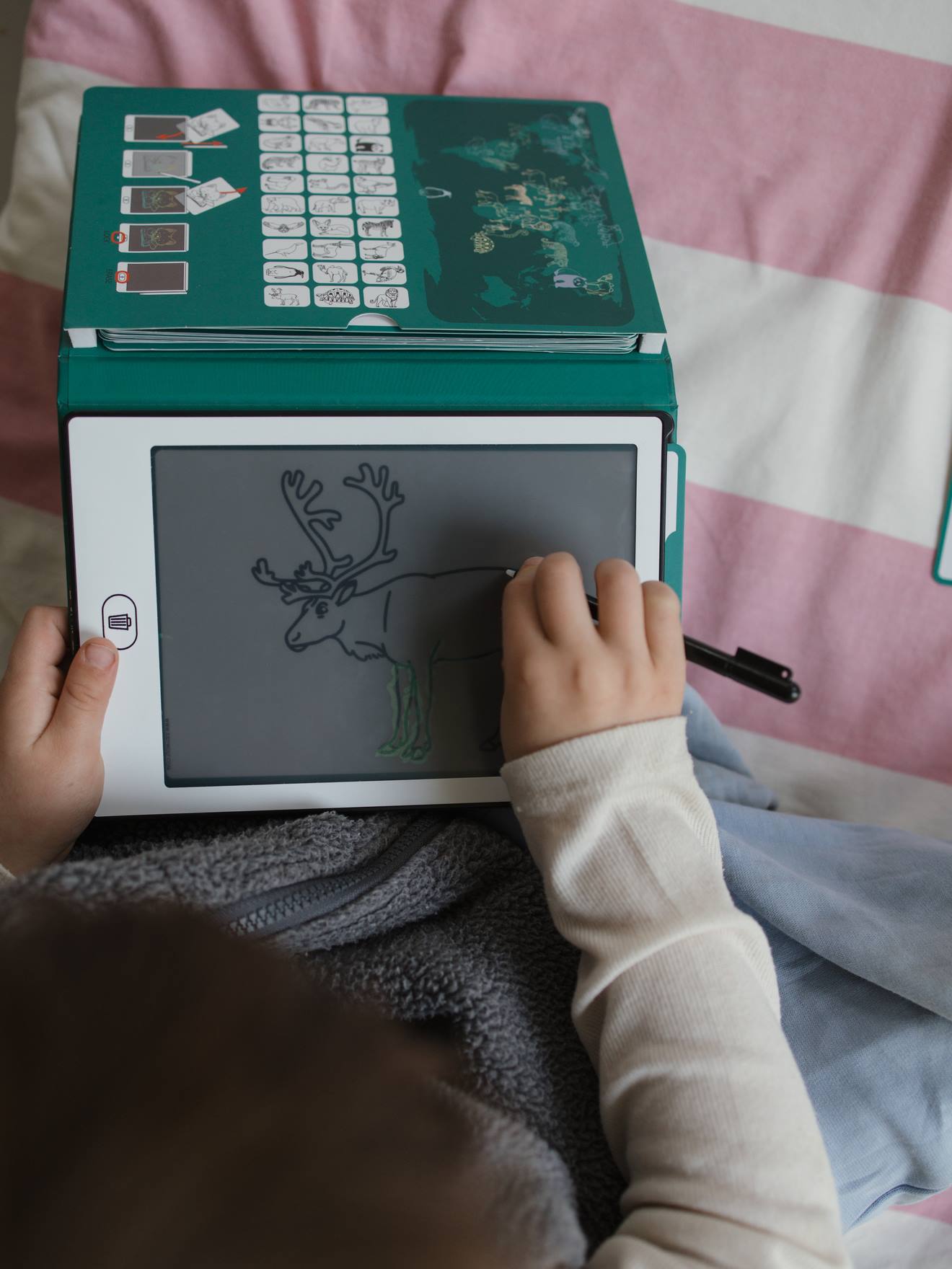 Kidydraw mini KIDYWOLF verde-salva